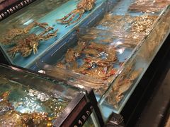 -宴西湖(滨湖公园店)