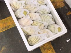 -三亚新鸿港水果一级批发市场