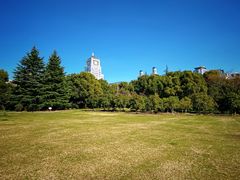 -区行政办公中心5号地块绿地-地下停车场