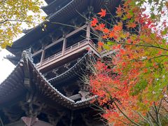 -杭州半山国家森林公园