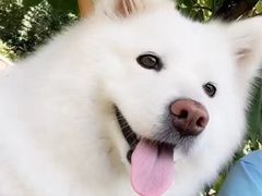 -宠福鑫康馨动物医院·骨科·眼科