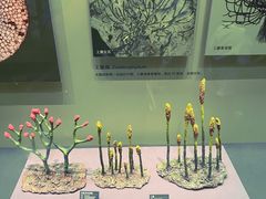 -天津自然博物馆