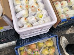 -双福水果批发市场