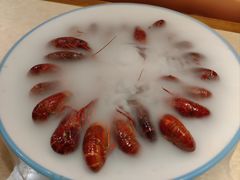 -杨氏青龙虾·羊蝎子(珠江路店)