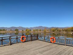 -野鸭湖国家湿地公园