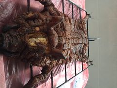 iphone_upload_pic-大京袁记烤全羊农家(大京水库店)