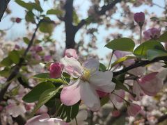 -元大都城垣遗址公园