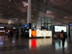 -星巴克(北京首都国际机场7店)