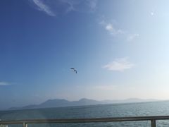 -长岛万鸟岛