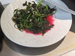-宴来湘聚·湘粤菜(国投财富广场店)