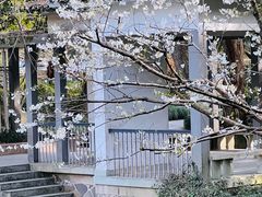 -杭州植物园