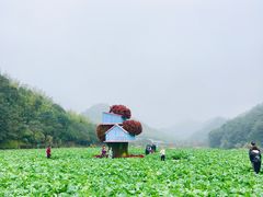 -广州市石门国家森林公园