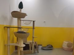 -废柴猫桌游概念馆(王府井喜悦购物中心店)