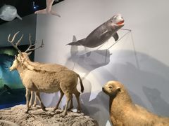 -中国湿地博物馆