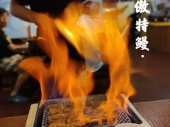 -鳗鱼家·深夜食堂(军博店)