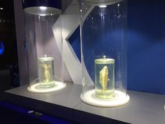 -福州罗源湾海洋世界旅游区