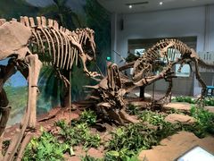 -自贡恐龙博物馆