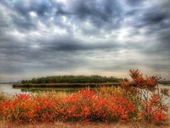 -天津东丽湖风景区