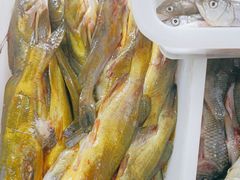-畲乡一品鱼府土菜馆