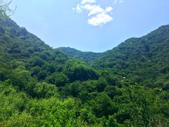 -阳台山自然风景区