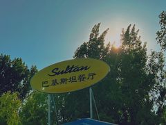 -Sultan pakistan苏单巴基斯坦