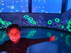 -沈阳海洋探索中心