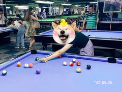 -丁俊晖台球俱乐部(长寿路店)