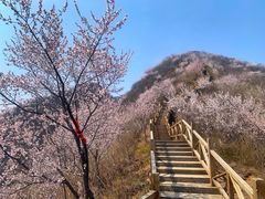 -大岭沟猕猴桃谷风景区