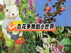 -中粮·祥云小镇