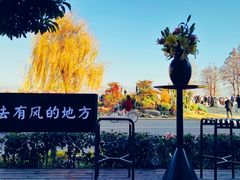 -大理洱海
