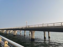 -演武大桥观景平台