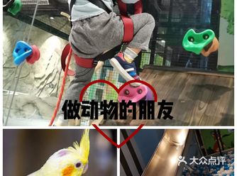 进入后场地很大，也很干净；项目