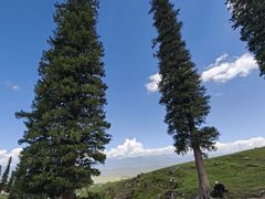 -新疆那拉提国家旅游度假区