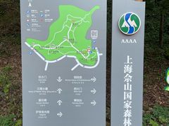 -上海佘山国家森林公园天马山园