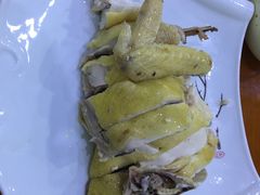 -全乐鱼馆·淳牌有机鱼直营店