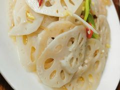 -普集烧鸡(新店)