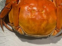 -沈灶河豚宴·河豚融合餐厅(汉中路店)