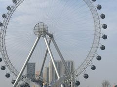 -海合安武汉极地海洋公园