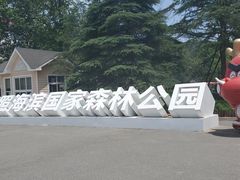 -日照海滨国家森林公园