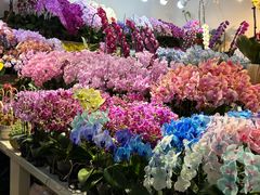 -吴山花鸟城-停车场