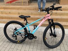 -道路口单车爱瓦士dahon大行