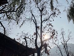 -华清宫景区