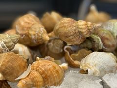 -圣丰索菲特·2 On 988 Café 自助餐厅