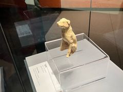 -隋唐大运河文化博物馆