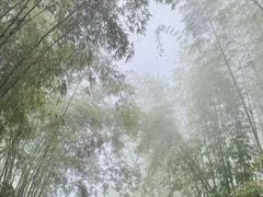 -蜀南竹海景区