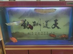 -伊帆食府·青海地方特色美食