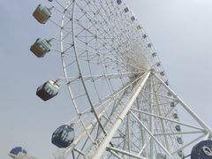 -琴岛之星摩天轮