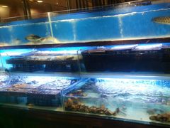 -喜庭海鲜自助(来福士店)