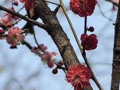 -木塔寺遗址生态公园
