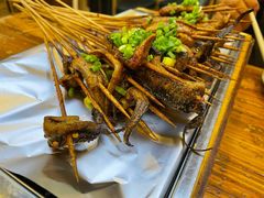 鳝鱼-晓靖轩烧烤(沙河风情店)